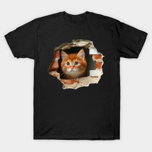 Sweet cat poking its head out from a wall opening T-Shirt